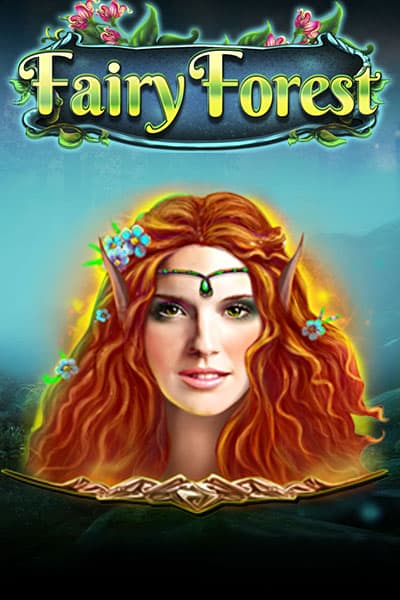 Fairy Forest